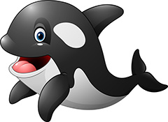 黑白相间的海豚动物矢量素材