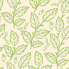 绿色树枝树叶线条花纹壁纸矢量素材