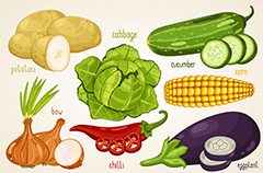 多款手绘蔬菜插画矢量素材