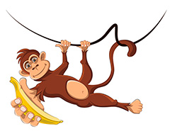 挂在枝头拿着香蕉的猴子矢量素材