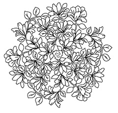 手绘花朵花纹底纹矢量素材