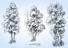 三款素描手绘大树矢量素材