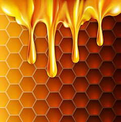 蜂巢和流淌的蜂蜜矢量素材