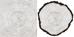 两款树木年轮图案矢量素材