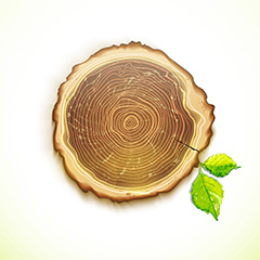 手绘棕色树木横切面木纹矢量素材