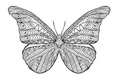 精美蝴蝶纹身图案矢量素材