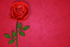 美丽红色玫瑰花枝矢量素材