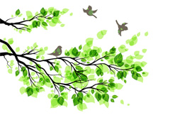 春季绿树叶子与小鸟矢量素材