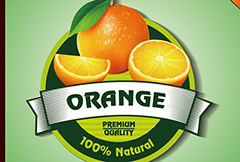 时尚橙子标签设计矢量素材