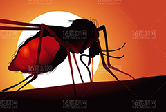蚊子卡通设计矢量素材