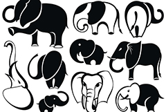 可爱的大象动物插画矢量素材