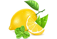 新鲜的柠檬设计矢量素材