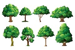 精美大树树木设计矢量素材