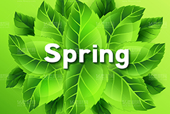 精美春季绿色绿叶广告背景矢量素材