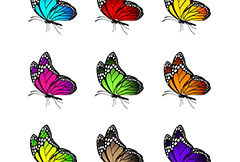 9款彩色蝴蝶侧面矢量素材