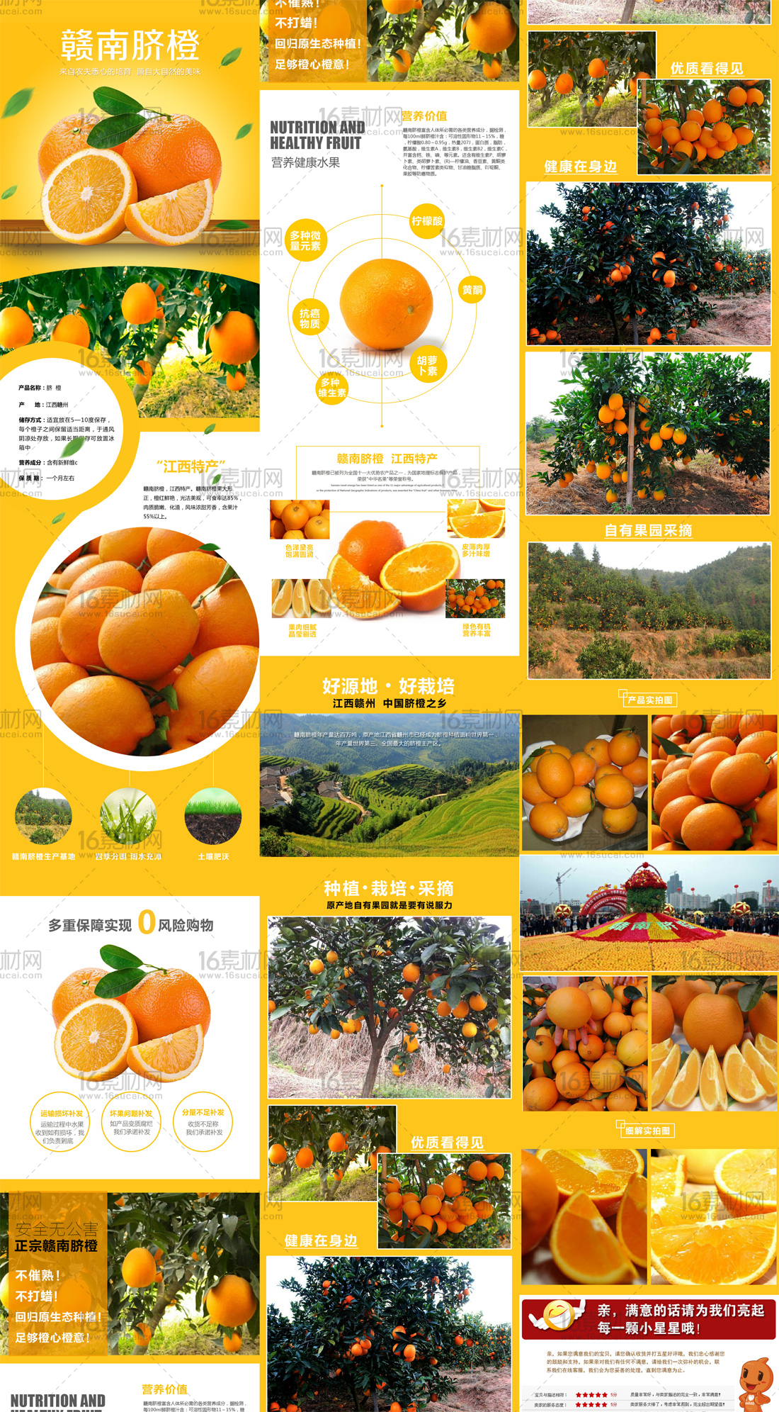 营养健康淘宝橙子详情页psd分层素材