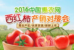 自然清新淘宝西红柿产销会宣传海报