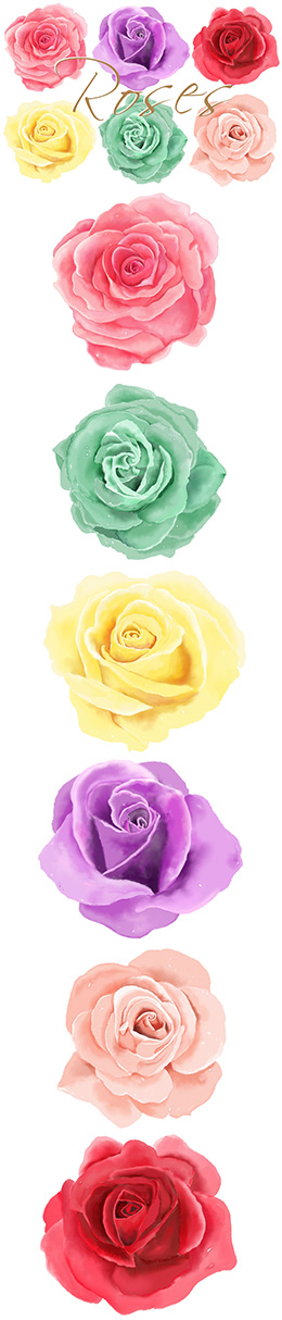 6张精美手绘玫瑰花高清图片