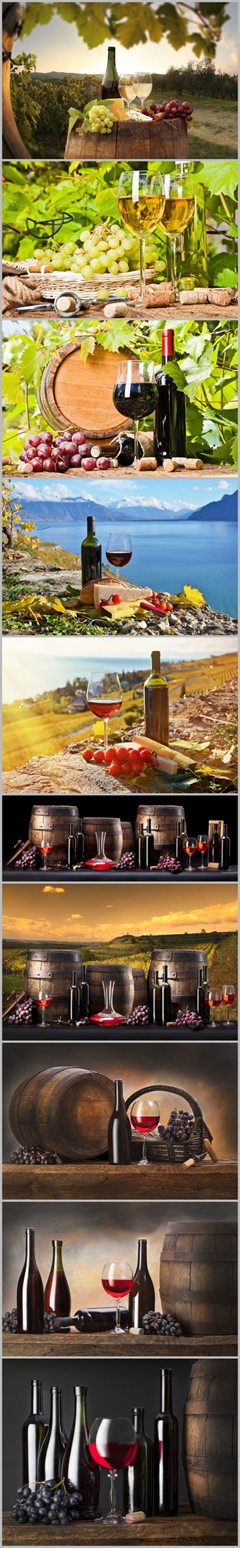 高档红葡萄酒和葡萄酒庄园高清图片下载