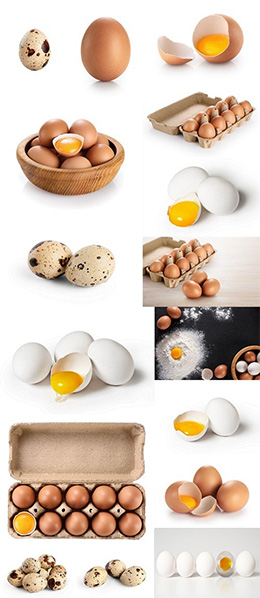 16款鸡蛋鹌鹑蛋特写高清图片