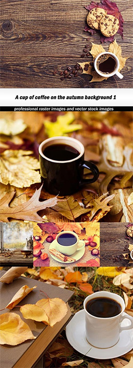 11张唯美秋季背景前的美味咖啡高清图片