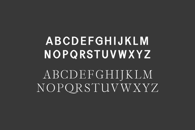 二重奏无衬线&衬线字体合集 Perkin | Duo Font Pack插图(1)