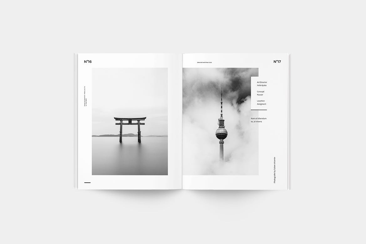 高品质的高级高端摄影师摄影杂志楼书画册设计模板（indd）插图(2)