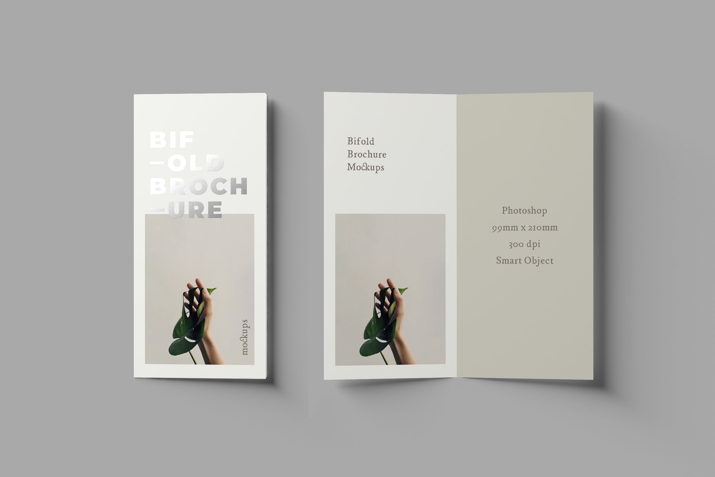 优雅设计风格折页宣传册设计图样机模板 Bifold DL Brochure Mockups插图