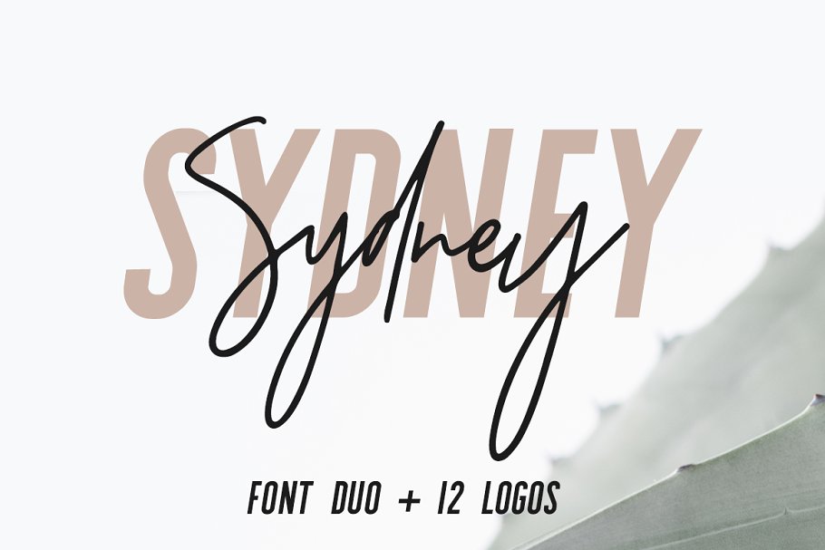 无衬线英文 Logo 字体+Logo 设计模板 Sydney | Font Duo + 12 Free Logos插图(11)