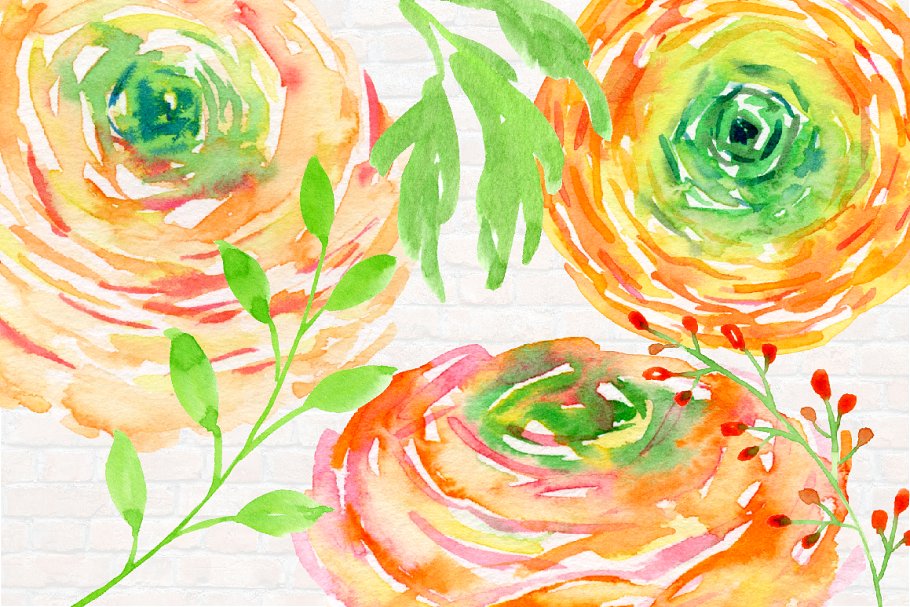 橙色水彩毛茛花卉剪贴画素材集 Watercolor Clipart Orange Ranunculus插图(3)