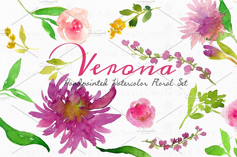 维罗纳-水彩花卉套装 Verona – Watercolor Floral Set插图(6)
