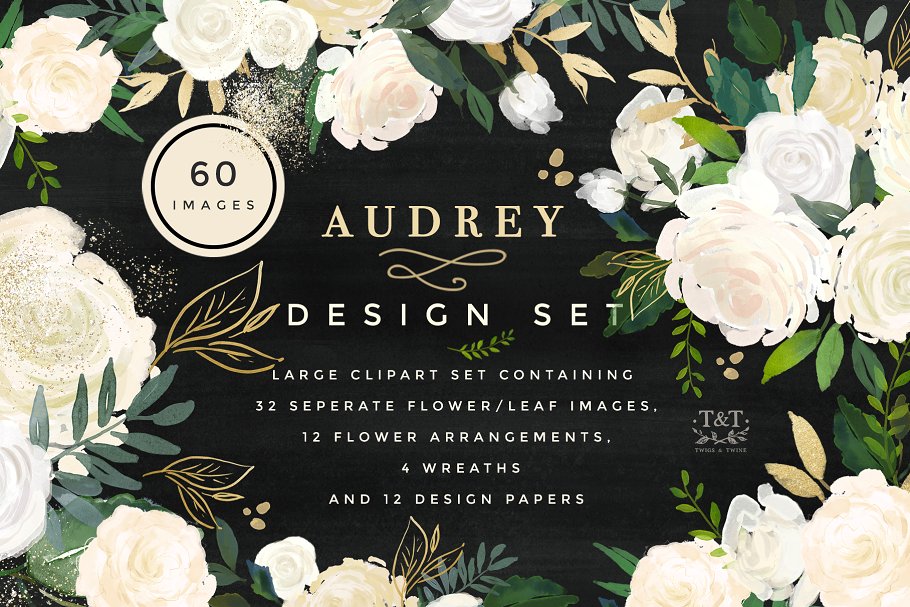 水彩花卉设计素材集 Floral Design Set – Audrey插图