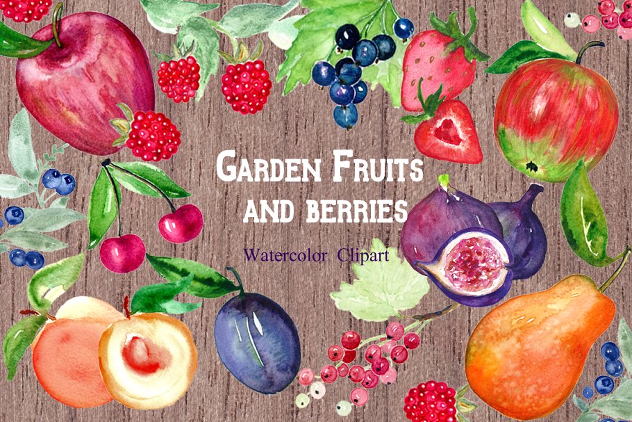 水果&浆果水彩剪贴画 Fruits & berries watercolors插图(1)