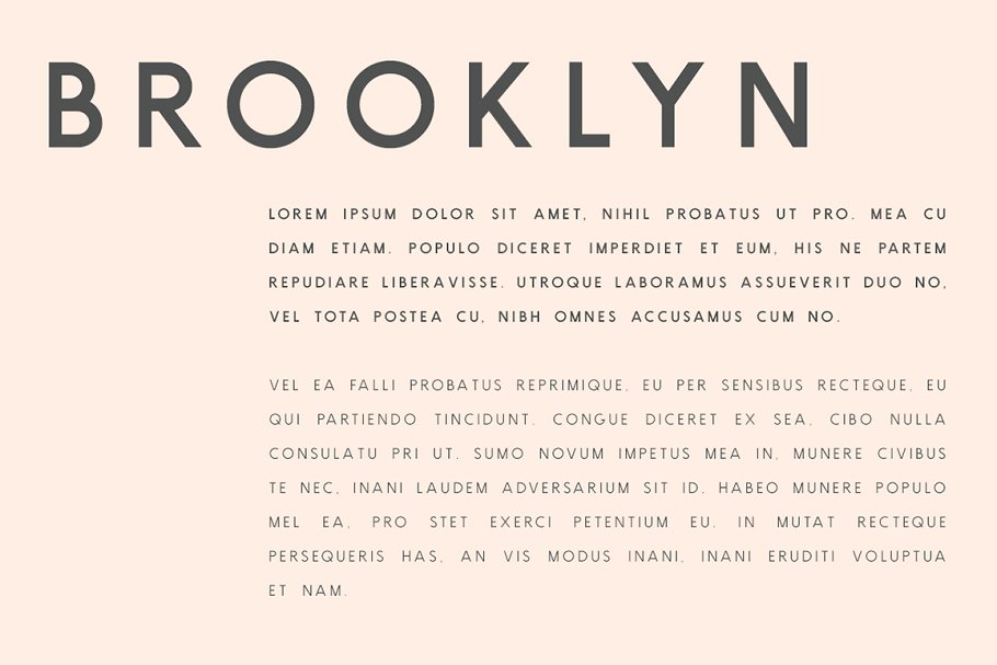 正体适合书面印刷排版的无衬线英文字体 Brooklyn | Two Weight Font Family插图(2)