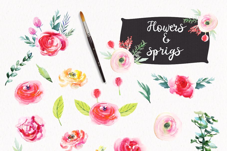 明亮水彩花卉设计元素 Watercolor Bright Flowers插图(1)