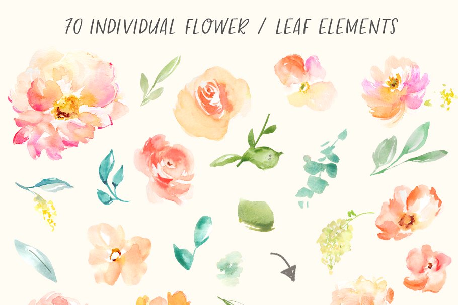 水彩花卉插画素材套装 Peonia Watercolor Flowers Set插图(3)