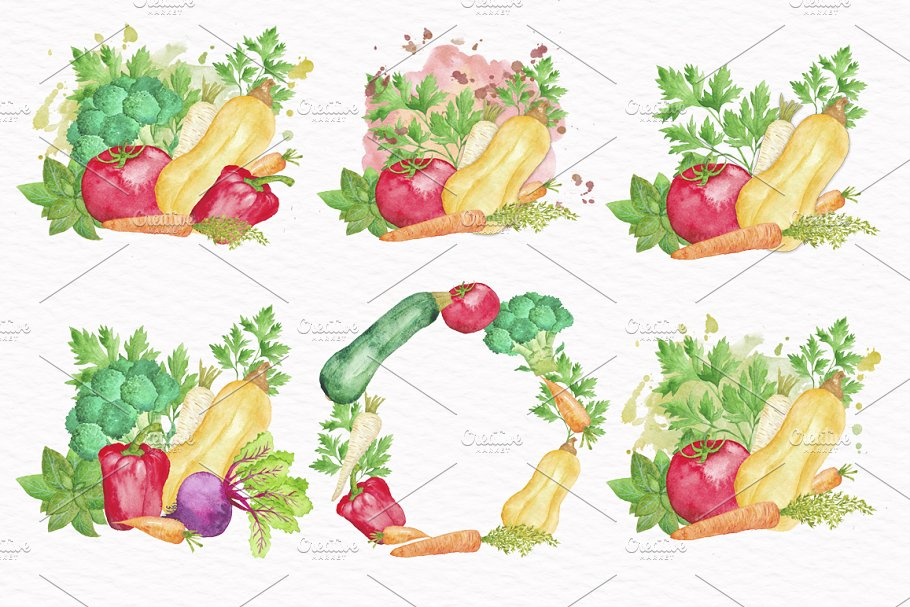 水彩蔬菜插画合集 Vegetable Watercolor Collection插图(3)