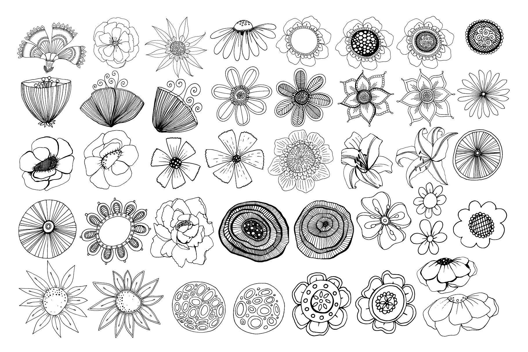 花卉艺术线条及花环素材 Flower Line Art & Floral Wreaths插图(6)