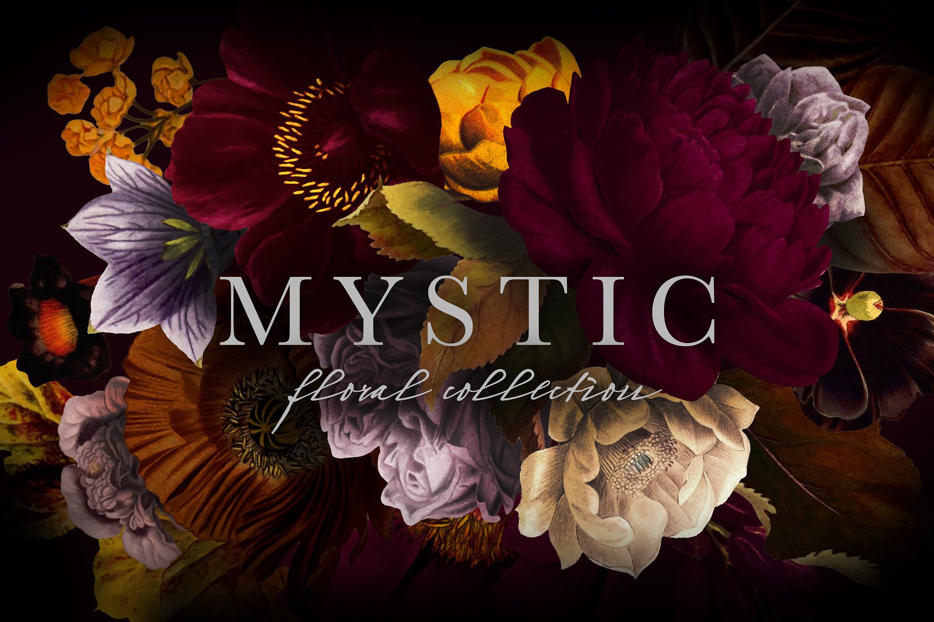 神秘花卉剪贴画艺术收藏 Mystic Floral Collection Clip Art插图