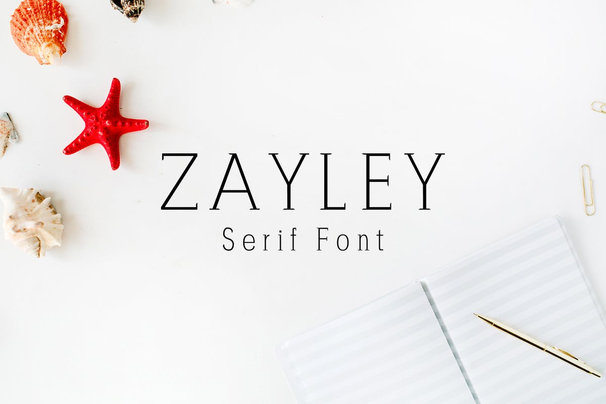 现代独特设计风格英文标语衬线字体 Zayley Serif Regular Font插图