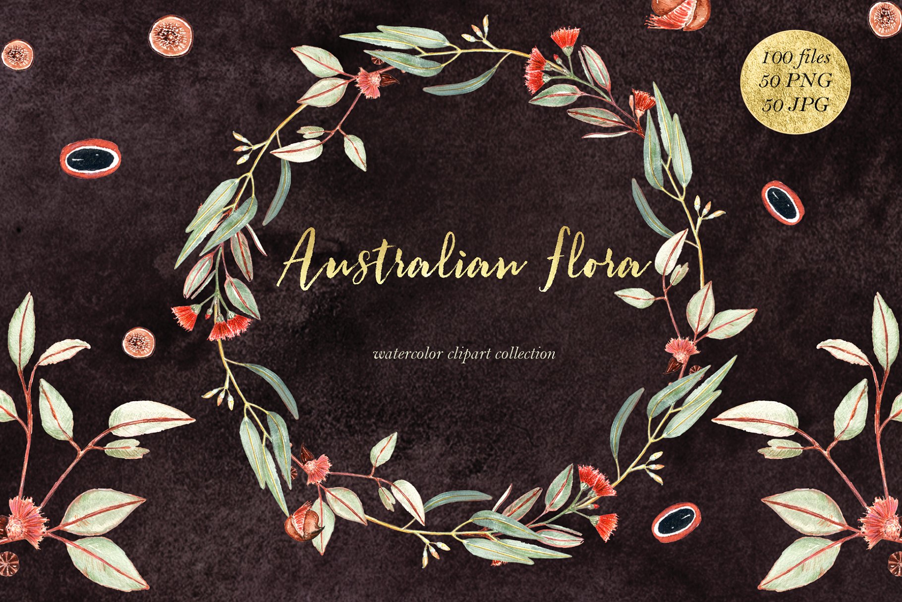 澳大利亚植物水彩剪贴画 Australian Flora Premium watercolor插图(4)