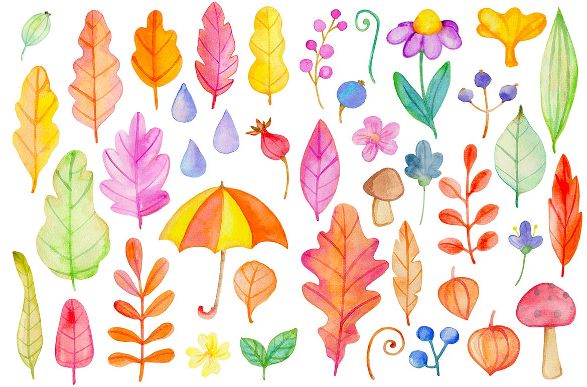 水彩手绘秋天花卉图案PNG素材 Fall Colors Watercolor Design Kit插图(9)