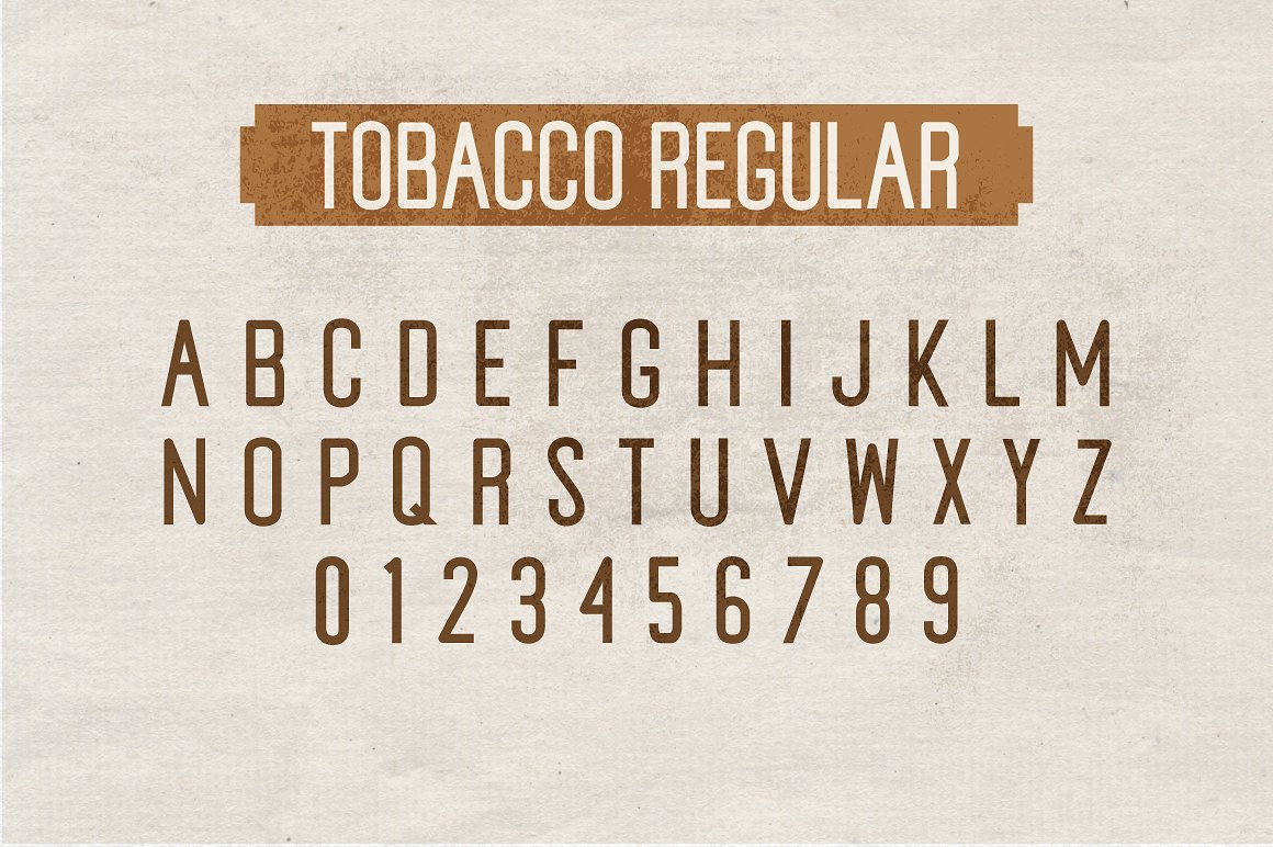 复古风格设计适用的英文无衬线字体 Tobacco Sans Serif Font插图(6)