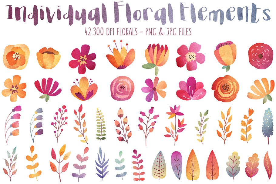 秋季色彩主题花卉设计剪贴画合集 Watercolor Autumn Florals Clipart插图(1)