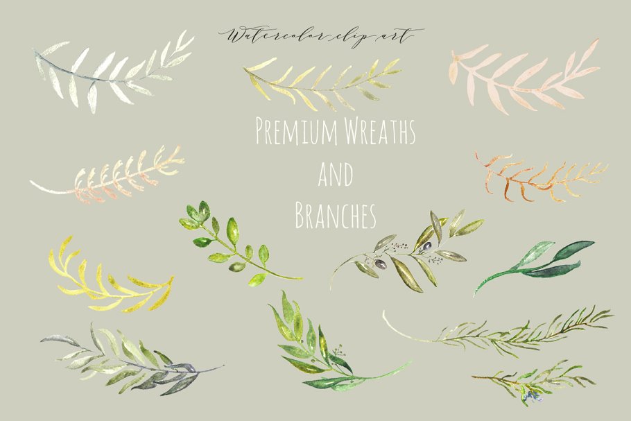高级花环剪枝水彩剪贴画 Premium wreaths and branches clipart插图(1)