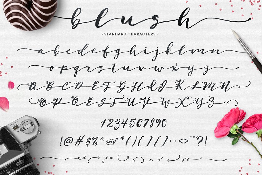 英文草书字体&手绘水彩纹理/Logo模板 Blush Typeface + Logo Kit (AI)插图(4)