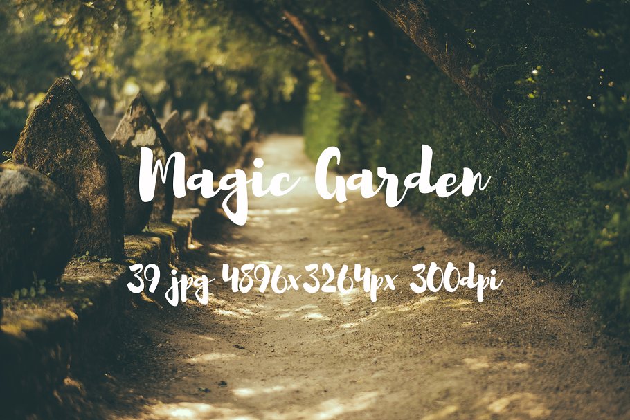 秘密花园花卉植物高清照片素材 Magic Garden photo pack插图(15)