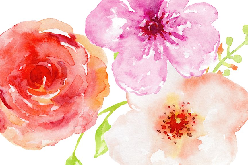 夏日鲜花,玫瑰,树叶和装饰元素水彩剪贴画 Watercolor Clipart Summery插图(2)