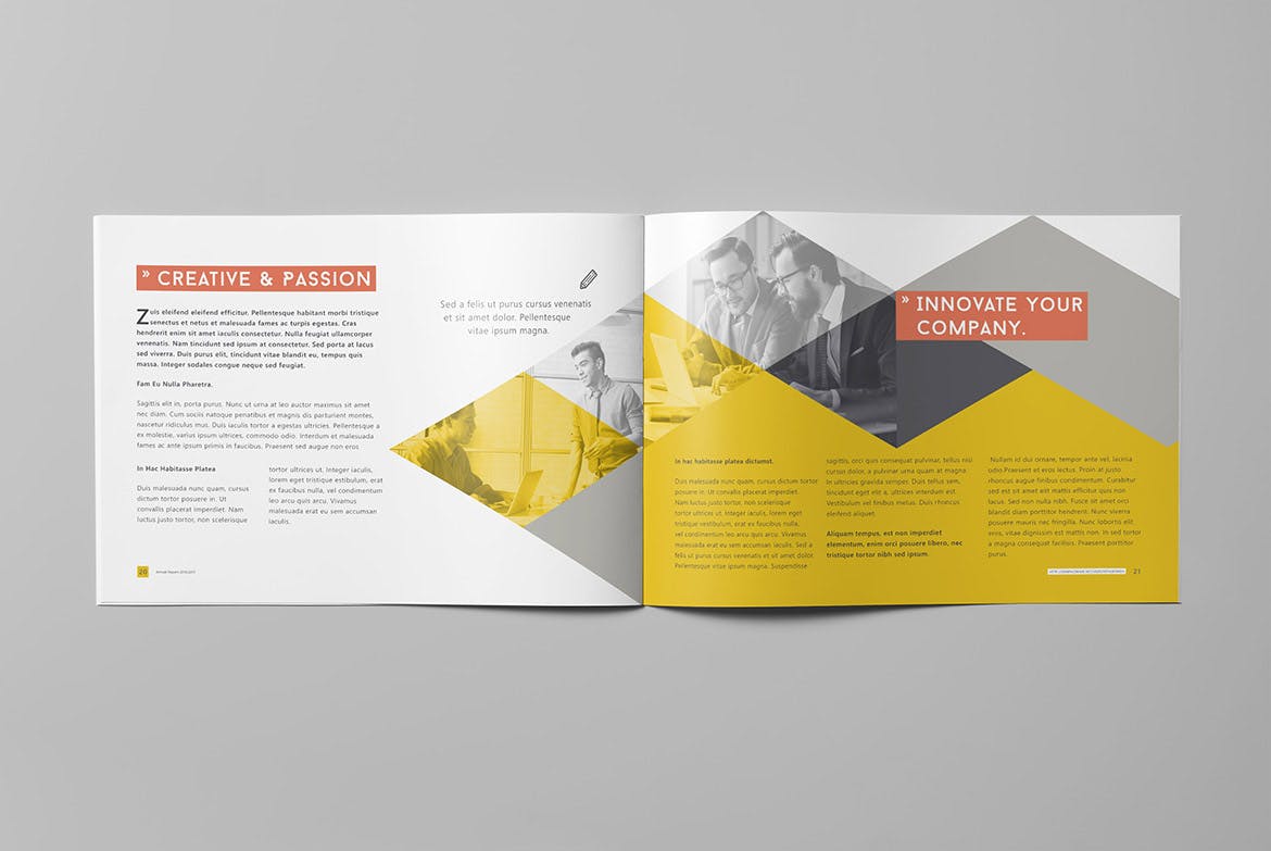 企业年度报告横版设计模板 Annual Report 2016/2017 – Landscape插图(10)