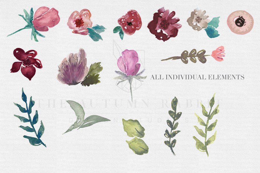 手绘水彩花卉＆树叶图案 Floral Watercolor Clipart Set插图(1)